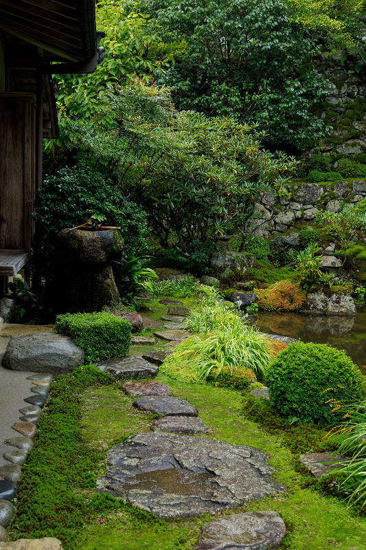 秋の花いっぱい（実光院）_f0155048_18453034.jpg