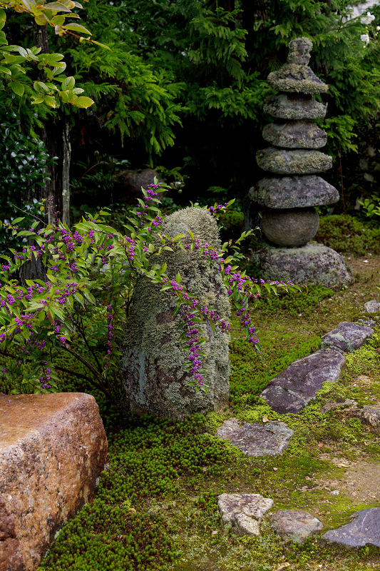 秋の花いっぱい（実光院）_f0155048_18455710.jpg