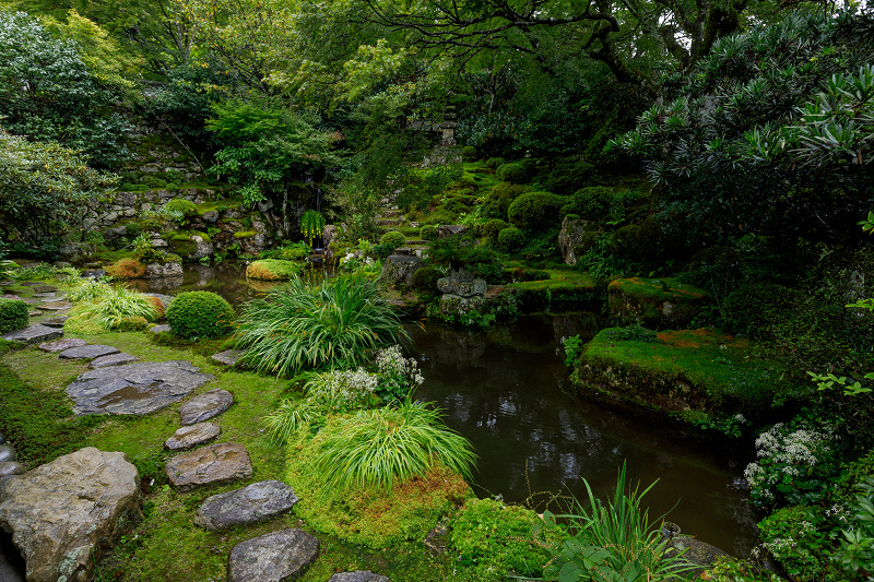 秋の花いっぱい（実光院）_f0155048_18493397.jpg
