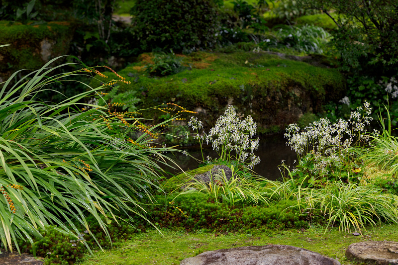 秋の花いっぱい（実光院）_f0155048_18494149.jpg