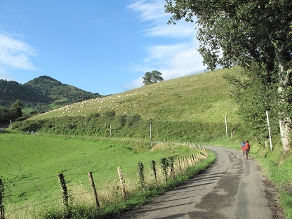 a0094449_08384087.jpg
