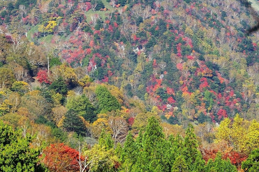 b0236251_10531691.jpg