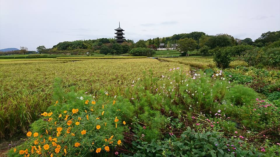 f0037753_22022279.jpg