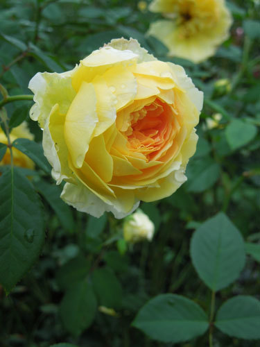 b0053654_00565243.jpg
