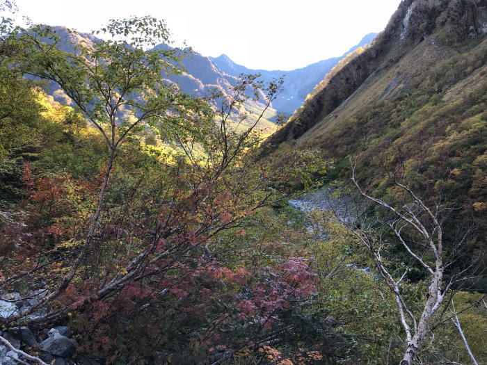 奥穂高岳〜涸沢〜横尾山荘_e0233674_18322443.jpg