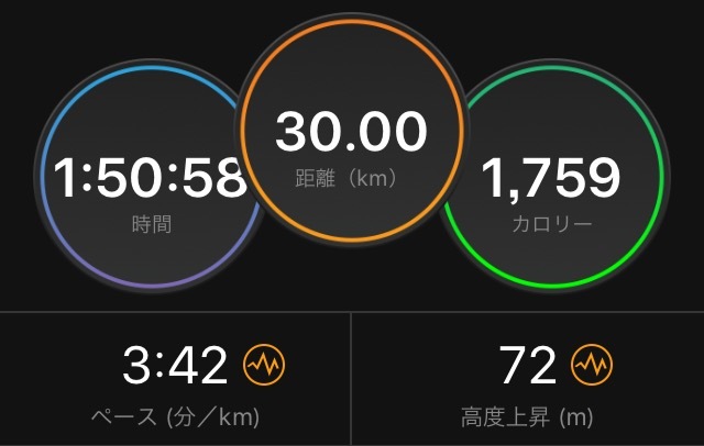 雨の30km走!じゃなくて20kmペース走+10km_f0310282_14140231.png