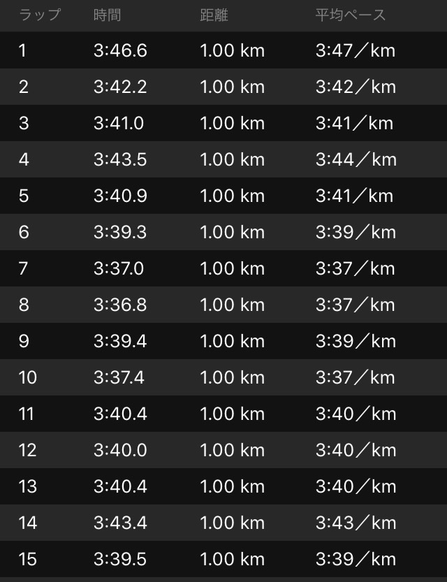 雨の30km走!じゃなくて20kmペース走+10km_f0310282_14141841.png