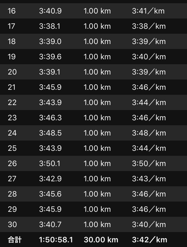 雨の30km走!じゃなくて20kmペース走+10km_f0310282_14143149.png