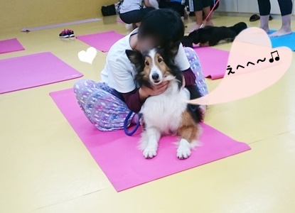 いぬヨガ_f0357682_20121669.jpg