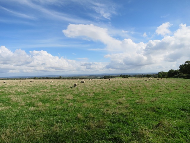 a0208783_618288.jpg