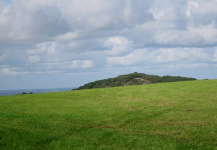 a0208783_619245.jpg