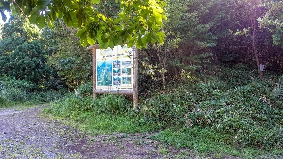 e0176993_07284179.jpg