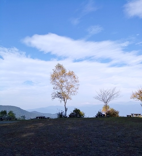 室賀のクリタケ　2017年10月_a0351695_23302632.jpg