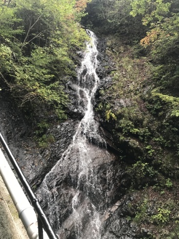 久しぶりの登山で山梨・甲州高尾山と棚横手_d0122797_11302200.jpg