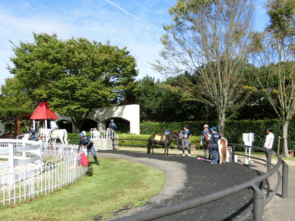 e0131399_21393231.jpg