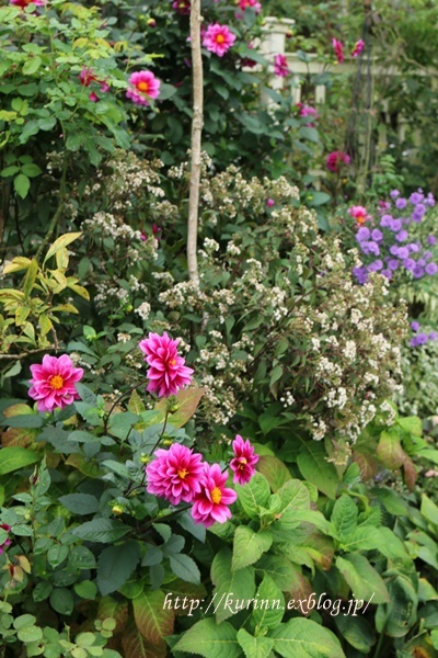a0123003_09221390.jpg