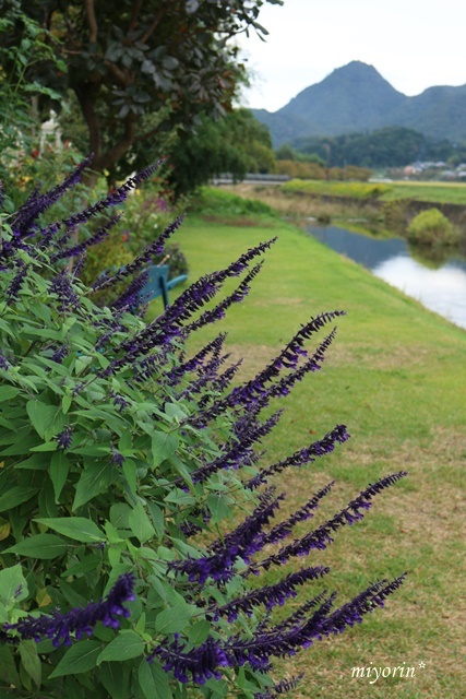 a0123003_09244338.jpg