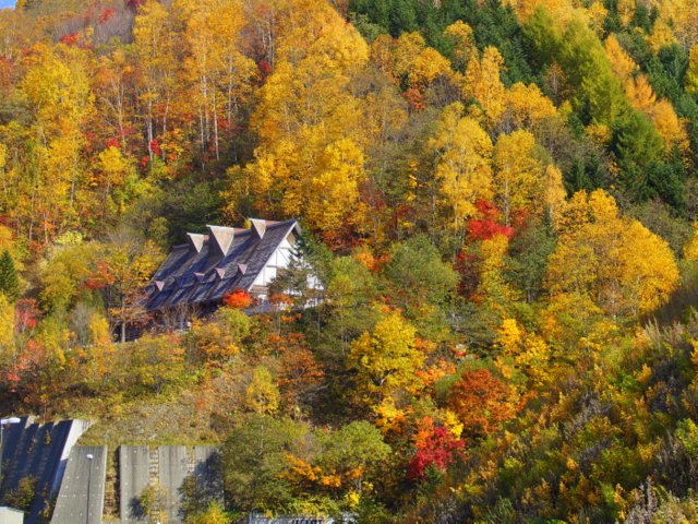 a0345007_19443210.jpg