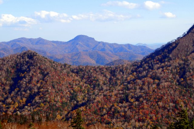 a0345007_19562545.jpg