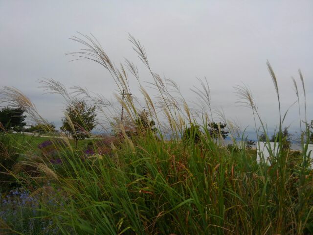 e0360409_19144508.jpg