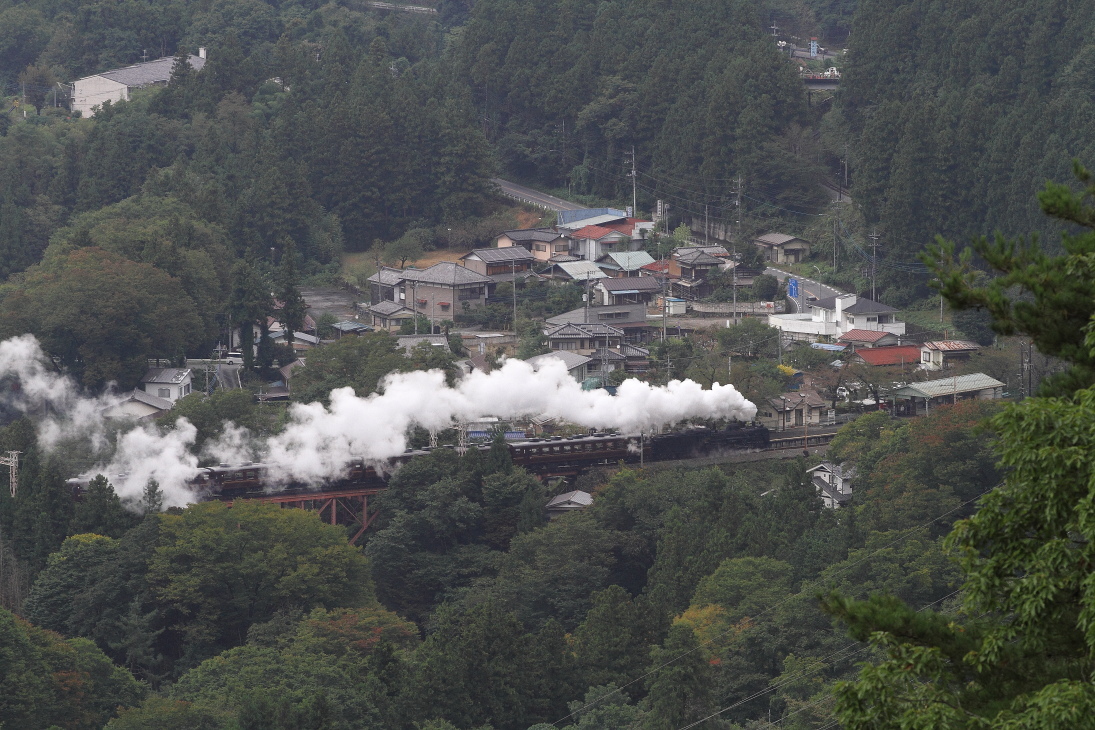 b0190710_21595623.jpg
