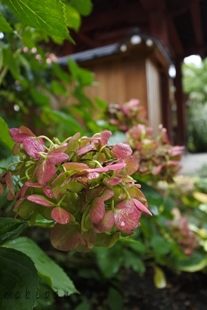 c0229312_11000111.jpg