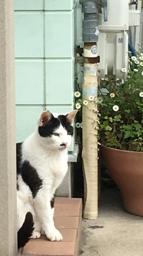京都_d0184114_21430094.png