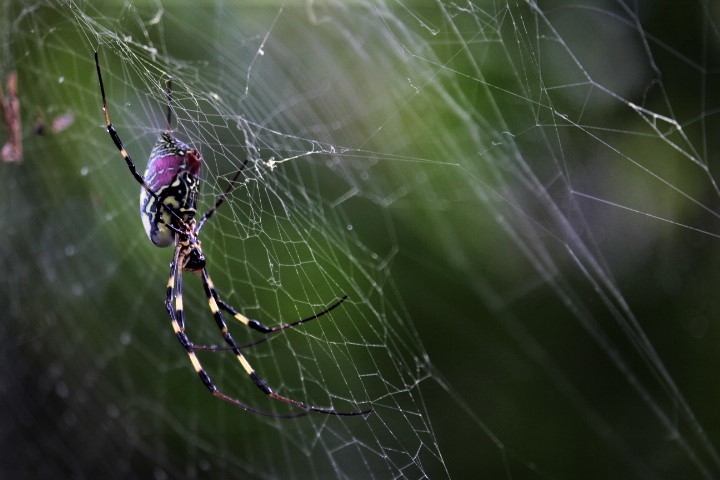 f0354923_00235065.jpg