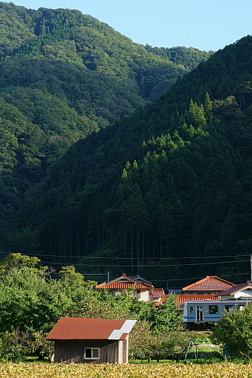 f0037227_23250601.jpg