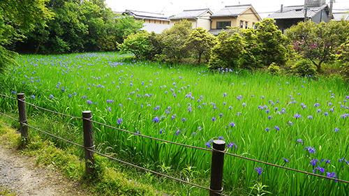 b0035734_18321375.jpg