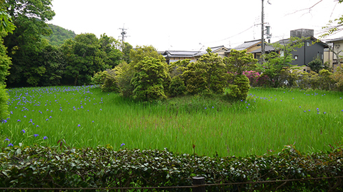b0035734_18322261.jpg