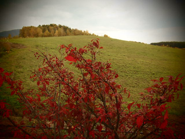 a0329935_17261644.jpeg