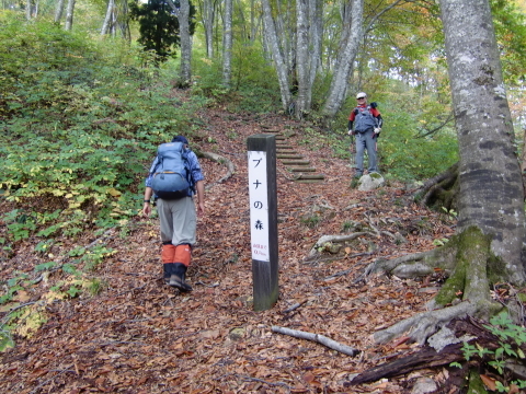 f0020336_09031339.jpg