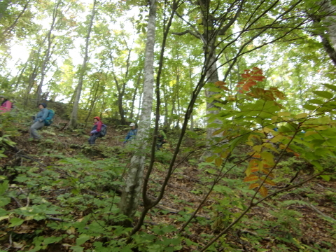 f0020336_09121945.jpg