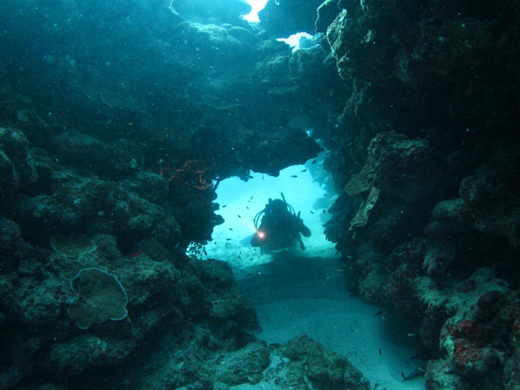 a0189838_20244497.jpg