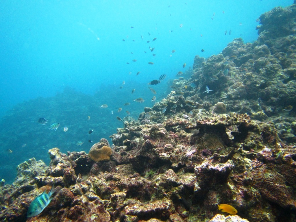 a0189838_20282822.jpg