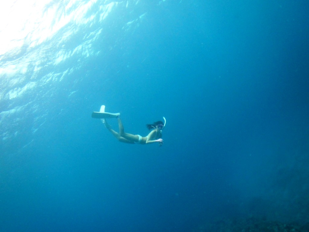 a0189838_20295888.jpg