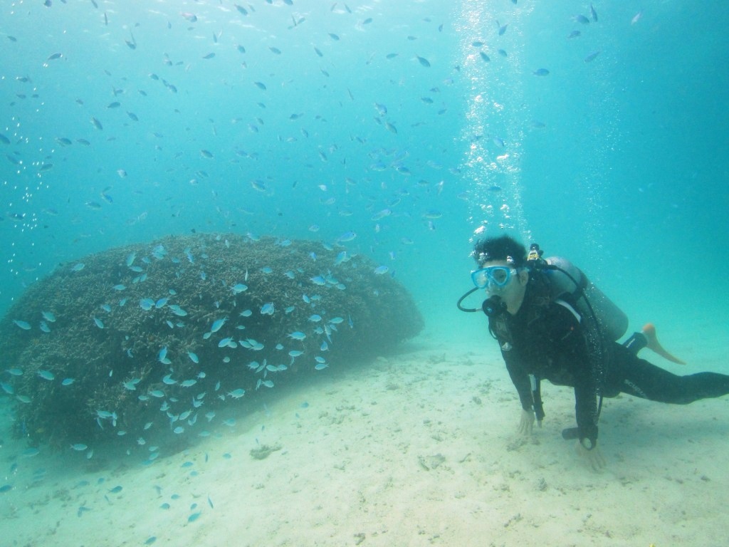 a0189838_21341120.jpg