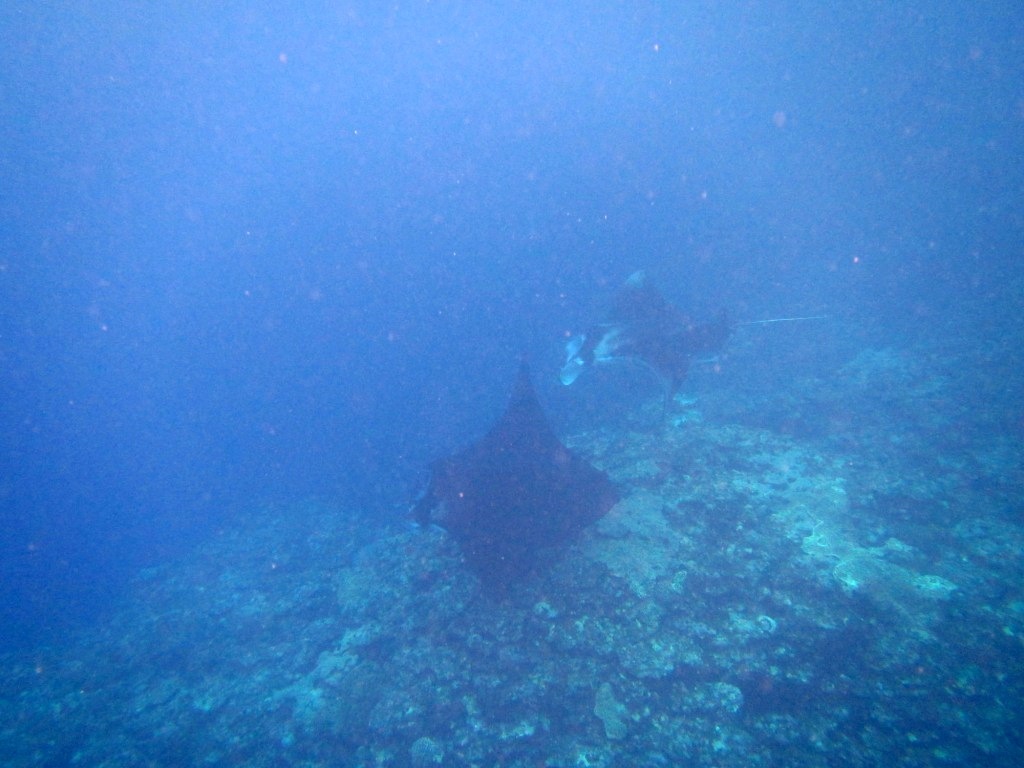 a0189838_21390649.jpg