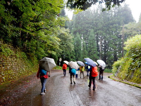 コスモス満開の夢の平～鉢伏山～庄川水記念公園_e0153040_14185848.jpg