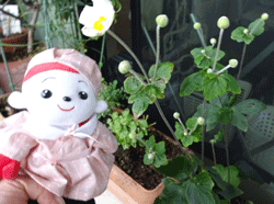 d0197949_17453015.gif