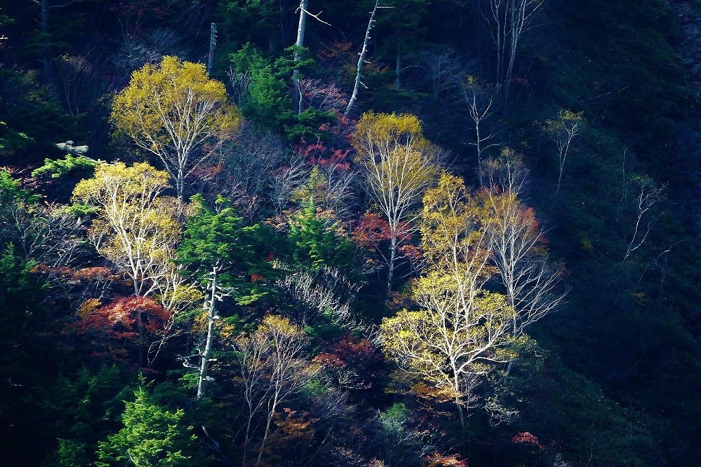b0236251_11264664.jpg