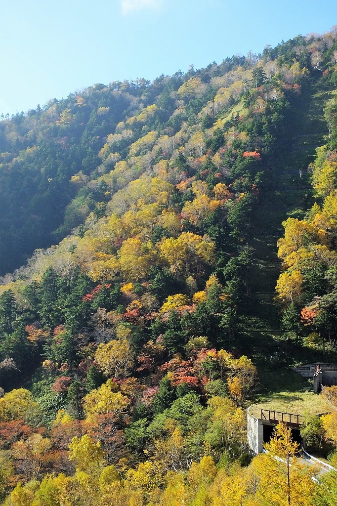 b0236251_11265140.jpg