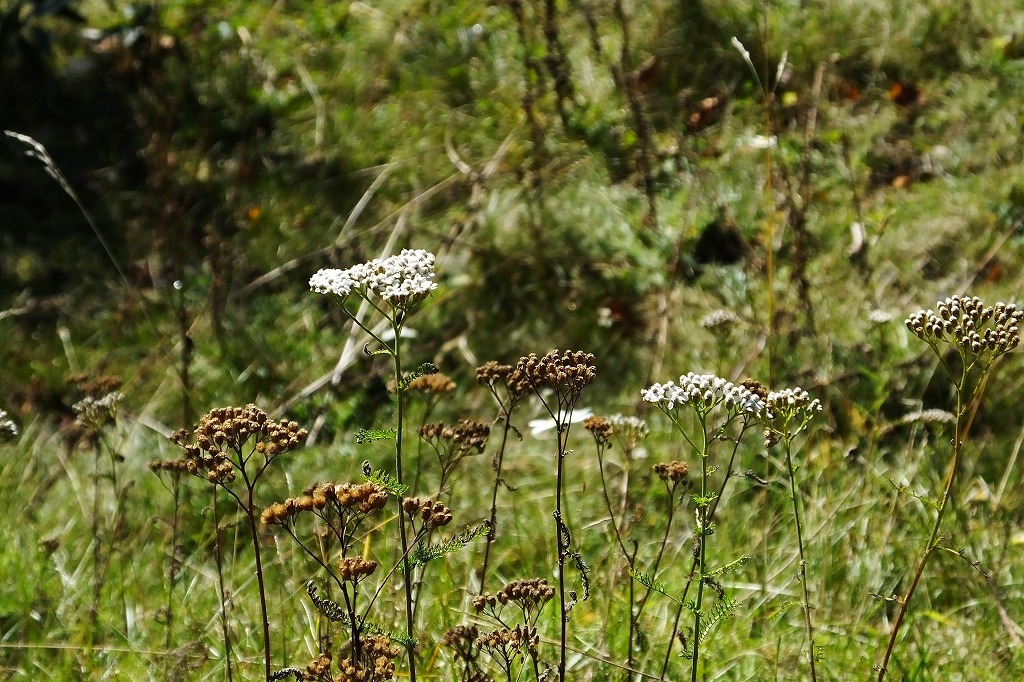 b0236251_11280130.jpg