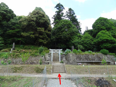 e0033751_17105150.jpg
