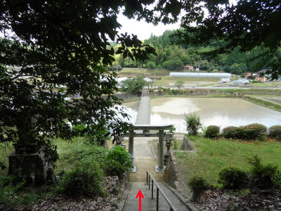 e0033751_17105727.jpg