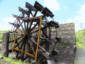 e0033751_17183172.gif