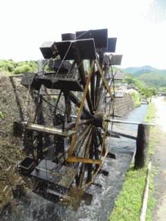 e0033751_1719034.gif