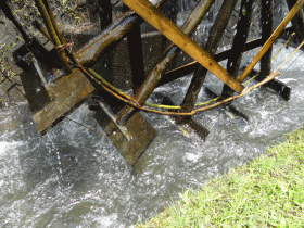 e0033751_1720431.gif