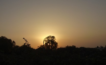 e0010856_8133744.jpg